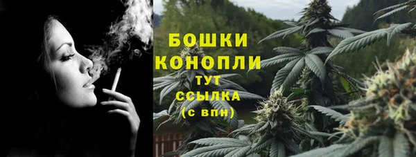 крисы Майский