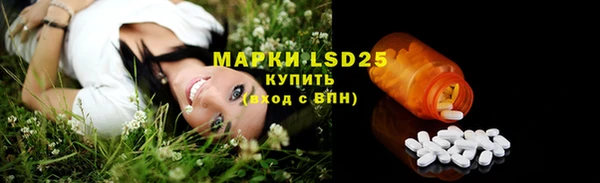 крисы Майский