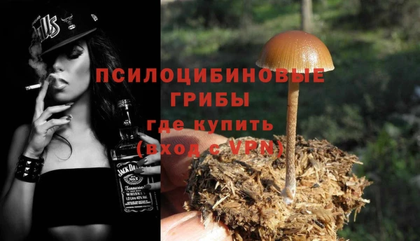 прущие грибы Лагань
