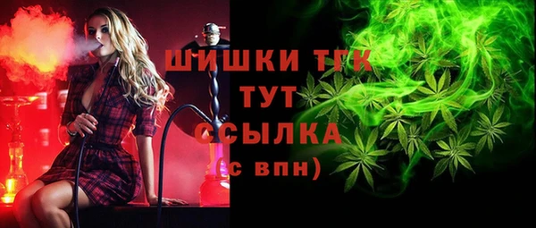 амф Алзамай