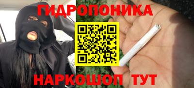 эйфоретик Гусев