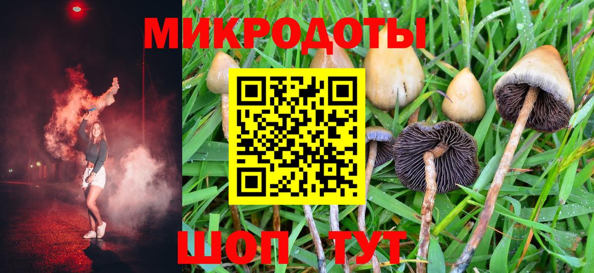 Псилоцибиновые грибы Psilocybine cubensis  магазин продажи   Лесной  Вход с VPN  Галлюциногенные грибы Magic Shrooms 