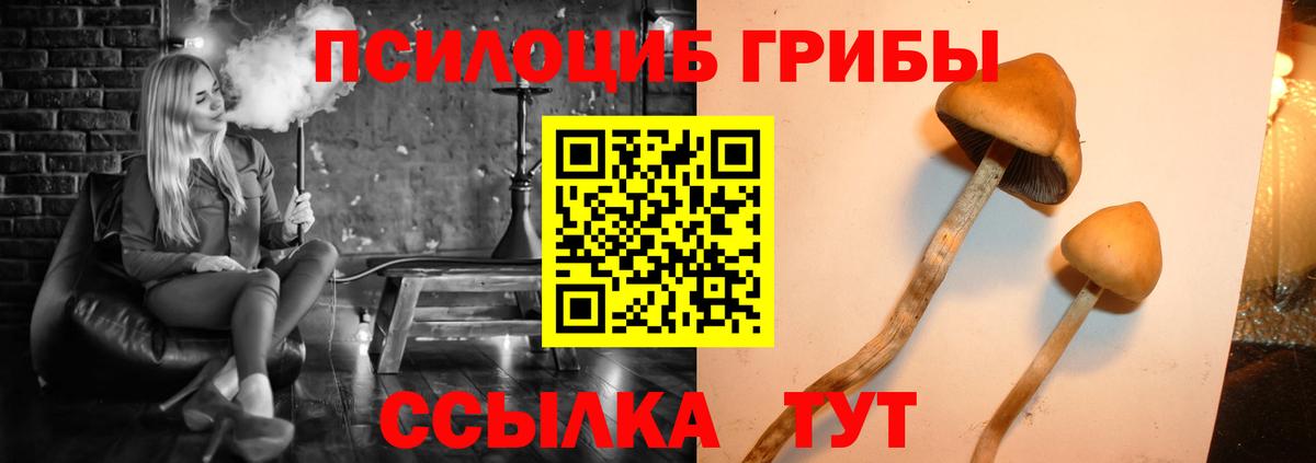 Псилоцибиновые грибы Psilocybine cubensis  Псилоцибиновые грибы Psilocybine cubensis  Лесной 