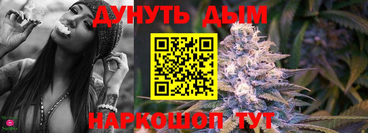 Шишки марихуана планчик  Конопля SATIVA & INDICA  Бошки Шишки планчик  Лесной 
